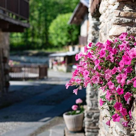 Il Sogno Della Vita Agriresort - Country Rooms & Suites Peveragno Eksteriør billede