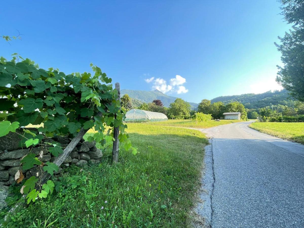 Il Sogno Della Vita Agriresort - Country Rooms & Suites Peveragno Eksteriør billede